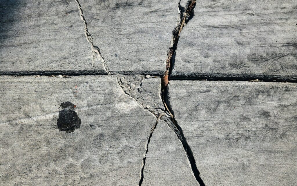 A crack in the concrete with a small bird on it